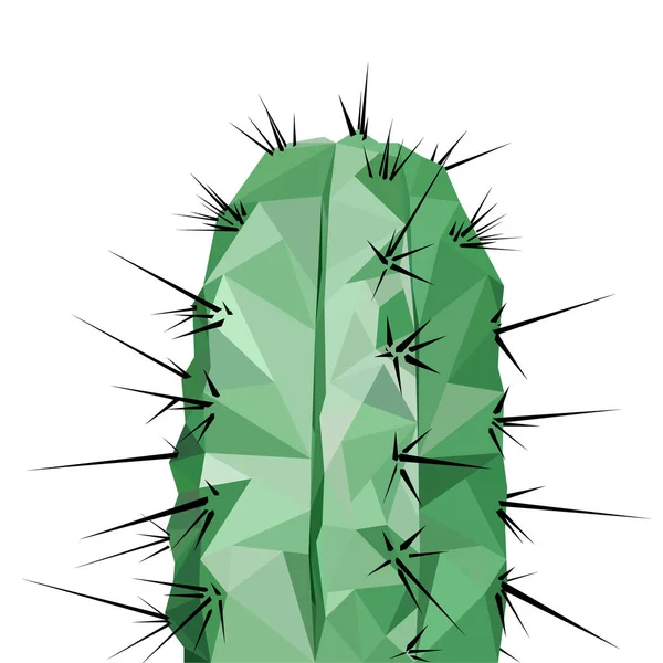 Raster Illustration Cactus Low Poly Style — Stock Vector
