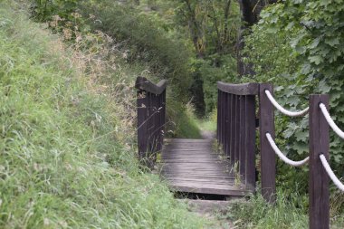Çevredeki yeşilliklerden geçen küçük bir depresyon boyunca uzanan bir yapıyı gösteren bir sahne.