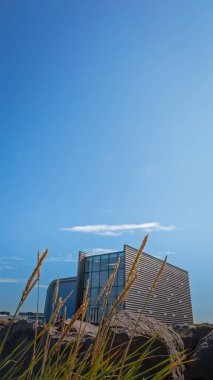 Njarvk, İzlanda, Viking Dünyası ve Limanı 'na barışçıl bir ziyaret Ağustos 2025 