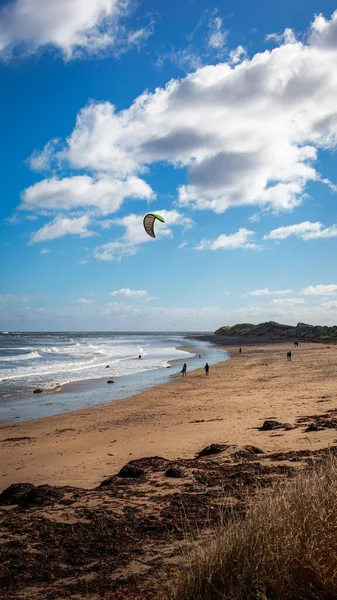 Amble Kumulları, Coquet Adası ve Low Hauxley manzaralı, Northumberland, Eylül 2025