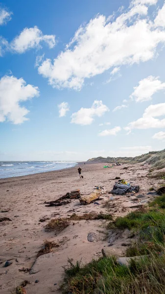 Amble Kumulları, Coquet Adası ve Low Hauxley manzaralı, Northumberland, Eylül 2025