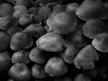 Siyah ve Beyaz Taneli Doku Soyut Organik Desen