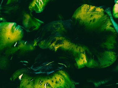 Koyu detaylarla soyut yeşil organik doku