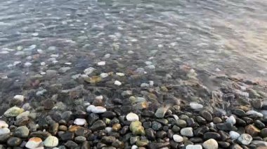 Küçük sabah dalgaları gün doğumunda çakıl taşı plajlarını nazikçe yıkıyor. Yumuşak dalgalı sakin deniz manzarası ve altın ışık yansıması, rahatlama, meditasyon, arka plan ve doğa ortamı için ideal.