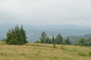 Devamlı yeşil ağaçlar, yuvarlanan tepeler ve sisli bir atmosferden oluşan sakin bir manzara. Seyahat, doğa, çevre ya da açık hava macera temaları için idealdir. Sahne huzuru ve keşfi çağrıştırıyor..