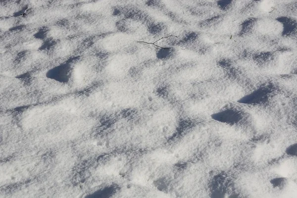 Undulating Fondo Nieve Con Hoja Ocasional Hierba Que Muestra Sin — Foto de Stock