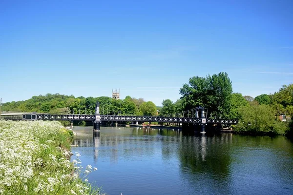 渡轮桥的看法也称为 Stapenhill 轮渡桥和河特伦斯与牛欧芹在前景 伯顿后 特伦斯 斯塔福德郡 — 图库照片