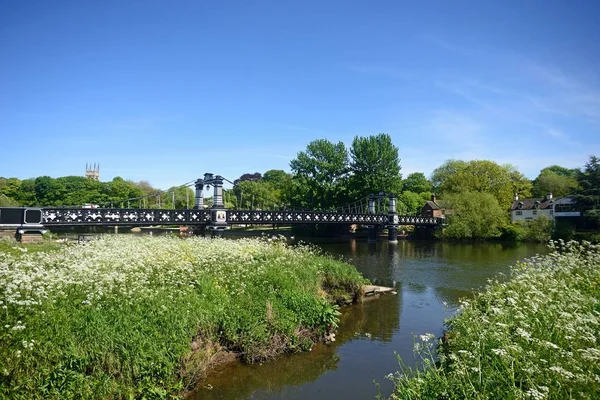 伯顿后 2018年4月14日 渡轮大桥的看法也称为 Stapenhill 轮渡桥和河特伦斯与牛欧芹在前景 伯顿后 特伦斯 斯塔福德郡 2018年4月14日 — 图库照片