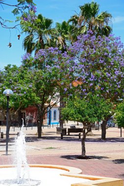 Çeşme ve Jakaranda ağaçların Praca al Mutamid, Silves, Portekiz, Avrupa'nın.