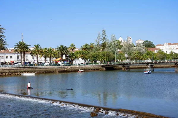 Tavira Portugal Junio 2017 Hombre Pescando Río Gilao Con Edificios — Foto de Stock