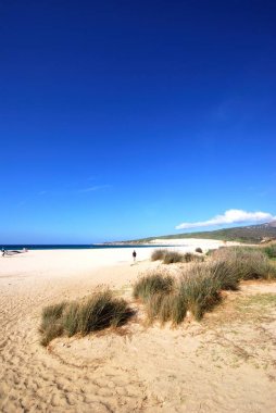 Valdevaqueros plajındaki beyaz kumların görünümü, Tarifa, İspanya.