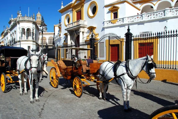 Vista de la plaza de toros con carruajes tirados por caballos en primer plano, Sevilla, España . —  Fotos de Stock