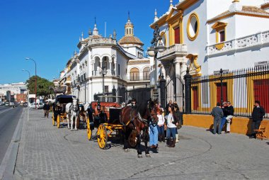 Ön planda at arabaları ile boğa görünümü, Sevilla, İspanya.