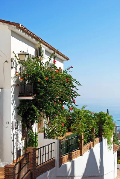 Evi Bougainvillea deniz den arkaya kaplı, Benalmadena Pueblo, İspanya.