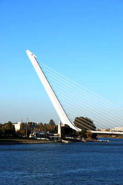 Guadalquivir nehri üzerinde Alamillo köprüsü (Puente del Alamillo), Sevilla, İspanya.