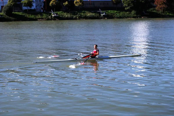 Ruderer auf dem Fluss Guadalquivir, Sevilla, Spanien. — Stockfoto