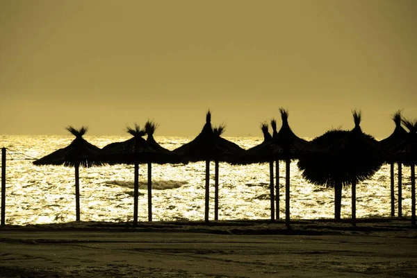 Parasols silhueta ao longo Daitona praia, Marbella, Espanha . — Fotografia de Stock