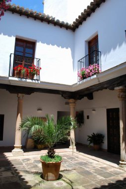 Mondragon Palace bahçesinde güzel balkonlu avlu, Ronda, İspanya.