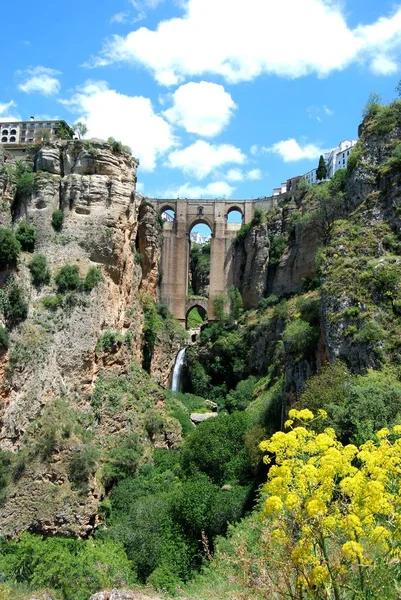View of the New Bridge and ravine with pretty Spring flowers in the foreground, Ronda, Spain.