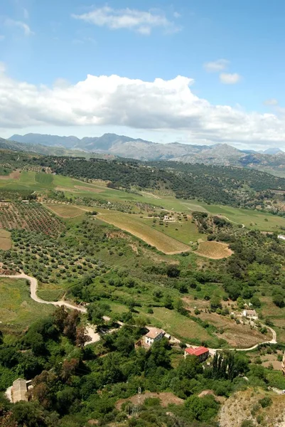 Elevated view across farmland and the countryside towards the mountains, Ronda, Spain. — Stock Photo, Image