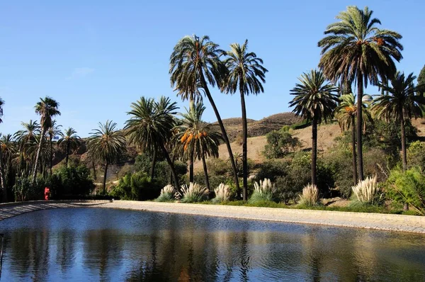 Vista del lago con árboles en la parte trasera de los jardines botánicos históricos de La Concepción, Málaga, España . — Foto de Stock