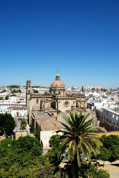 Jerez Frontera Španělsko Srpna 2008 Zvýšený Pohled Katedrálu San Salvador — Stock fotografie