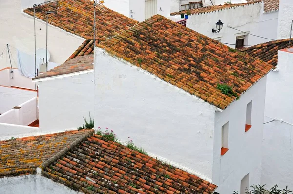 Dakpannen Pueblo Blanco Casares Provincie Cadiz Andalusië Spanje Euorpe — Stockfoto