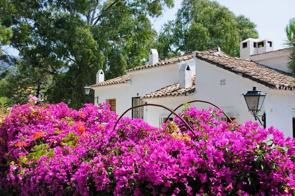 BENAHAVIS, İspanya - 28 Haziran 2010 - Şehrin kıyısındaki şirin bougainvillea ve kasaba evleri, Benahavis, Malaga Eyaleti, Endülüs, İspanya, 28 Haziran 2010