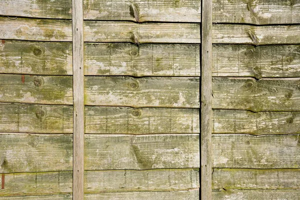 Horizontal Fence Panel Background — Stock Photo, Image