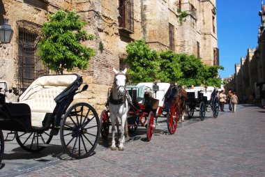 CORDOBA, İspanya - Nisan 01, 2008 - Episcopal Sarayı ön planda at arabaları, Cordoba, İspanya - Nisan 01, 2008