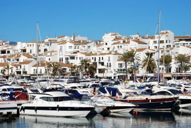 MARBELLA, SPAIN - 23 Mart 2008 - Limanda demirlemiş tekneler kasaba binaları, Puerto Banus, Marbella, İspanya - 23 Mart 2008