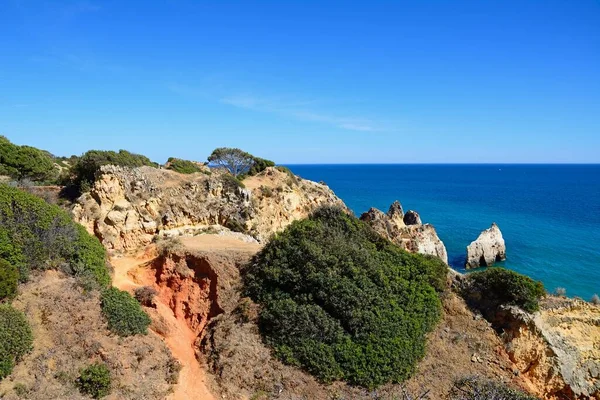 Emelkedett Kilátás Sziklák Kilátással Óceánra Praia Rocha Portimao Algarve Portugália — Stock Fotó
