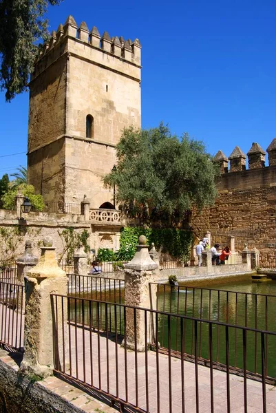 Cordoba Spain Nisan 2008 Şatonun Arka Tarafında Cordoba Spanya Nisan — Stok fotoğraf