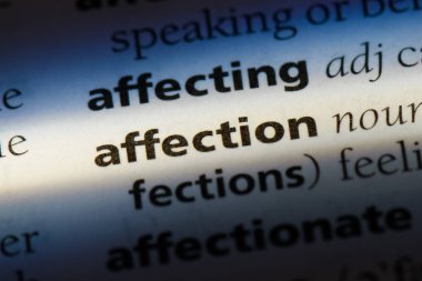 sevgi sözcüğü sözlüğe. sevgi kavramı.