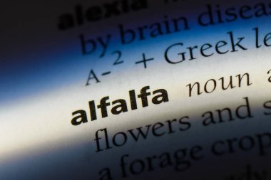 yonca Word'de bir sözlük. yonca kavramı.