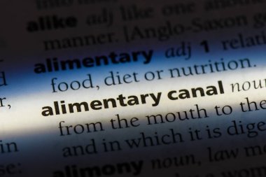 Kurbanın kanal Word'de bir sözlük. Kurbanın kanal kavramı.