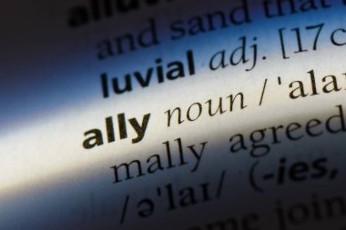 bir sözlüğü'ndeki sözcüğü ally. Ally kavramı.