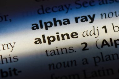 alp tek kelimeyle bir sözlük. alp kavramı.