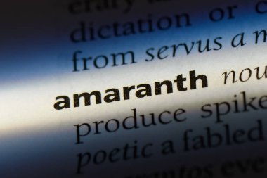 bir sözlüğü'ndeki solmayan çiçek sözcüğü. solmayan çiçek kavramı.