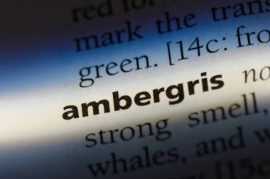 Amber Word'de bir sözlük. Amber kavramı.