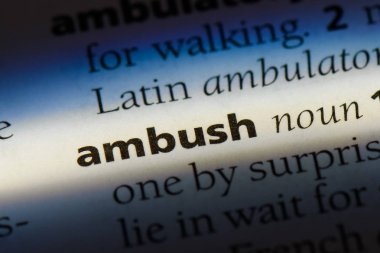 pusu Word'de bir sözlük. pusu kavramı.