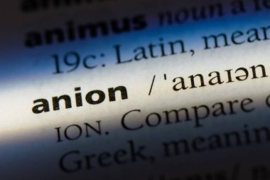 anyon Word'de bir sözlük. anyon kavramı.