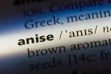 anason Word'de bir sözlük. anason kavramı.