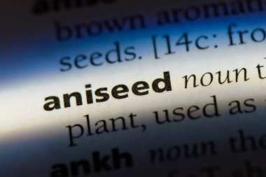 anason Word'de bir sözlük. anason kavramı.