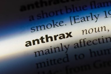 Şarbon Word'de bir sözlük. Şarbon kavramı.