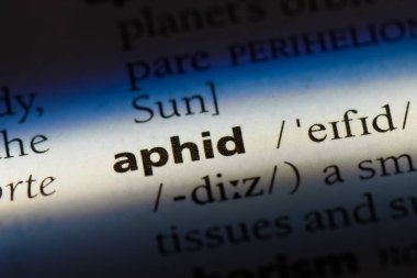 yaprak biti Word'de bir sözlük. yaprak biti kavramı.