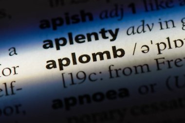 bir sözlüğü'ndeki aplomb sözcüğü. aplomb kavramı.