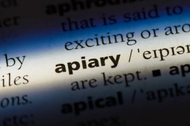 arı kovanı Word'de bir sözlük. arı kovanı kavramı.