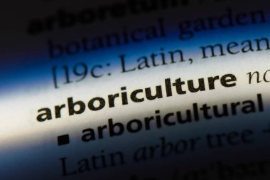 bir sözlüğü'ndeki Fidancılık sözcüğü. Fidancılık kavramı.