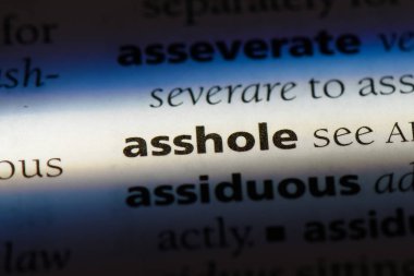 pislik Word'de bir sözlük. pislik kavramı.